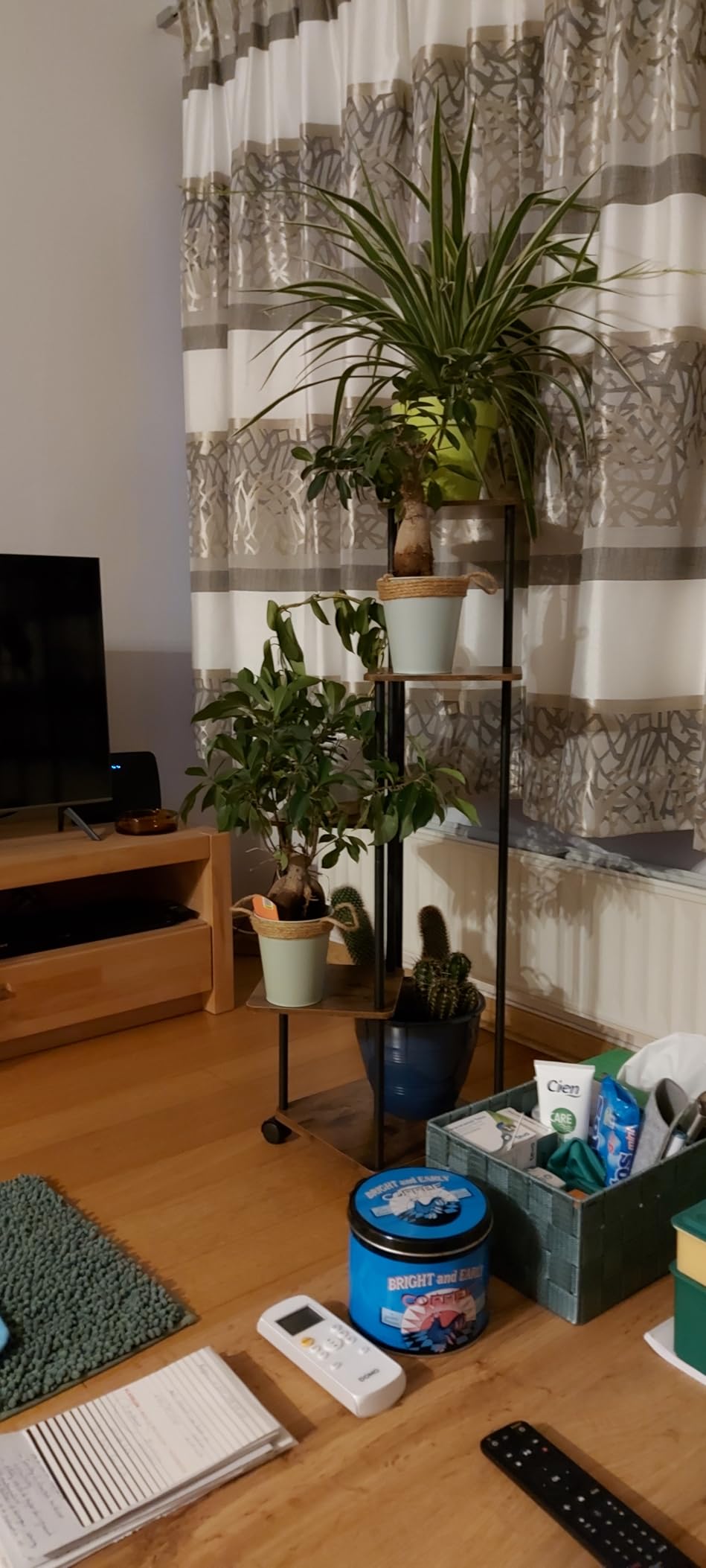 Sieht toll aus