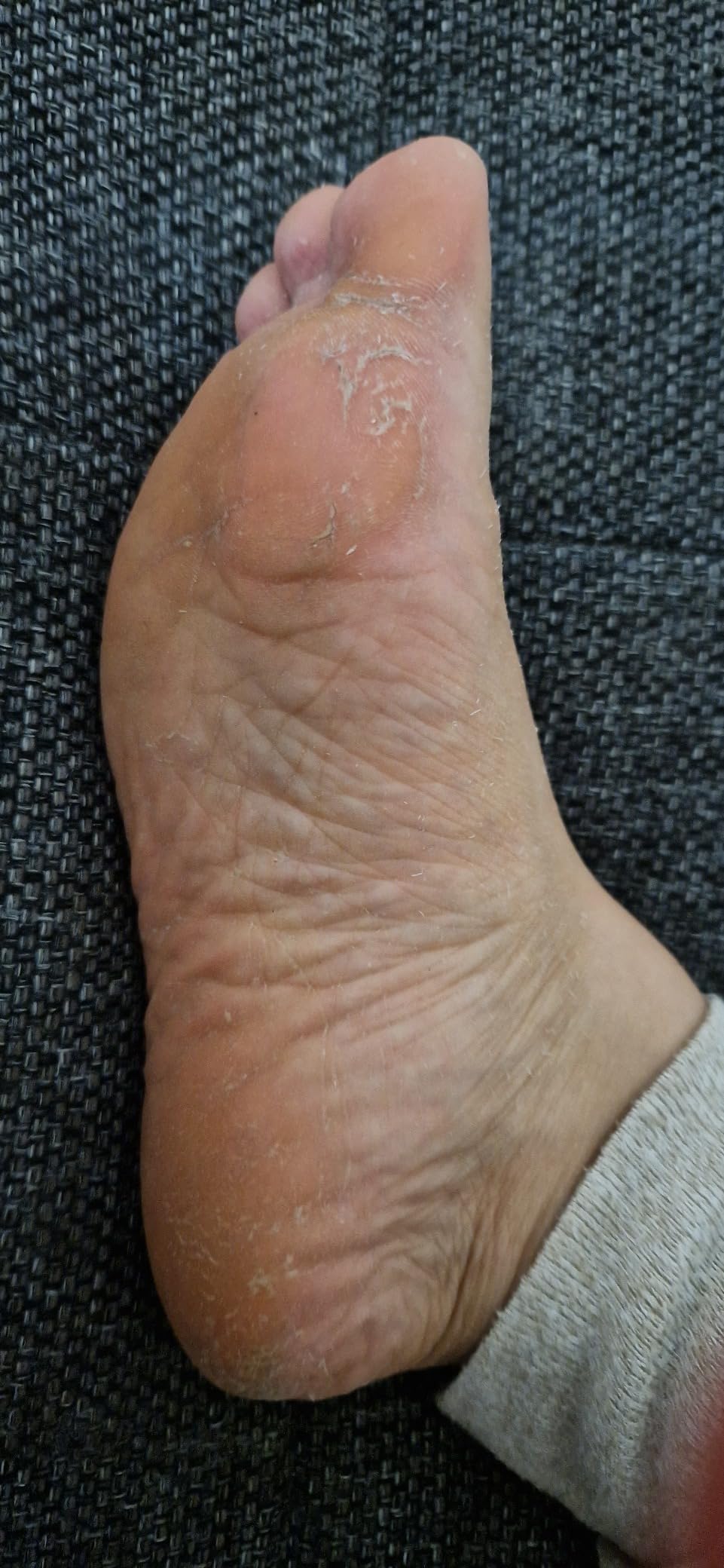 Handlich