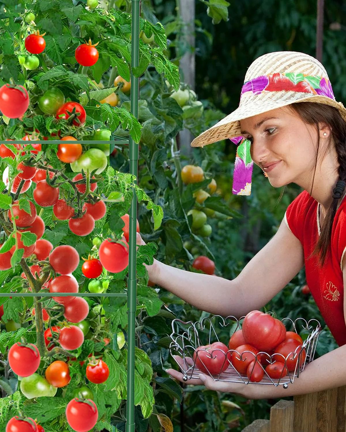 mymulike-home-life-tomaten-rankhilfe-130-cm-3-st-ck-gr-n image 4