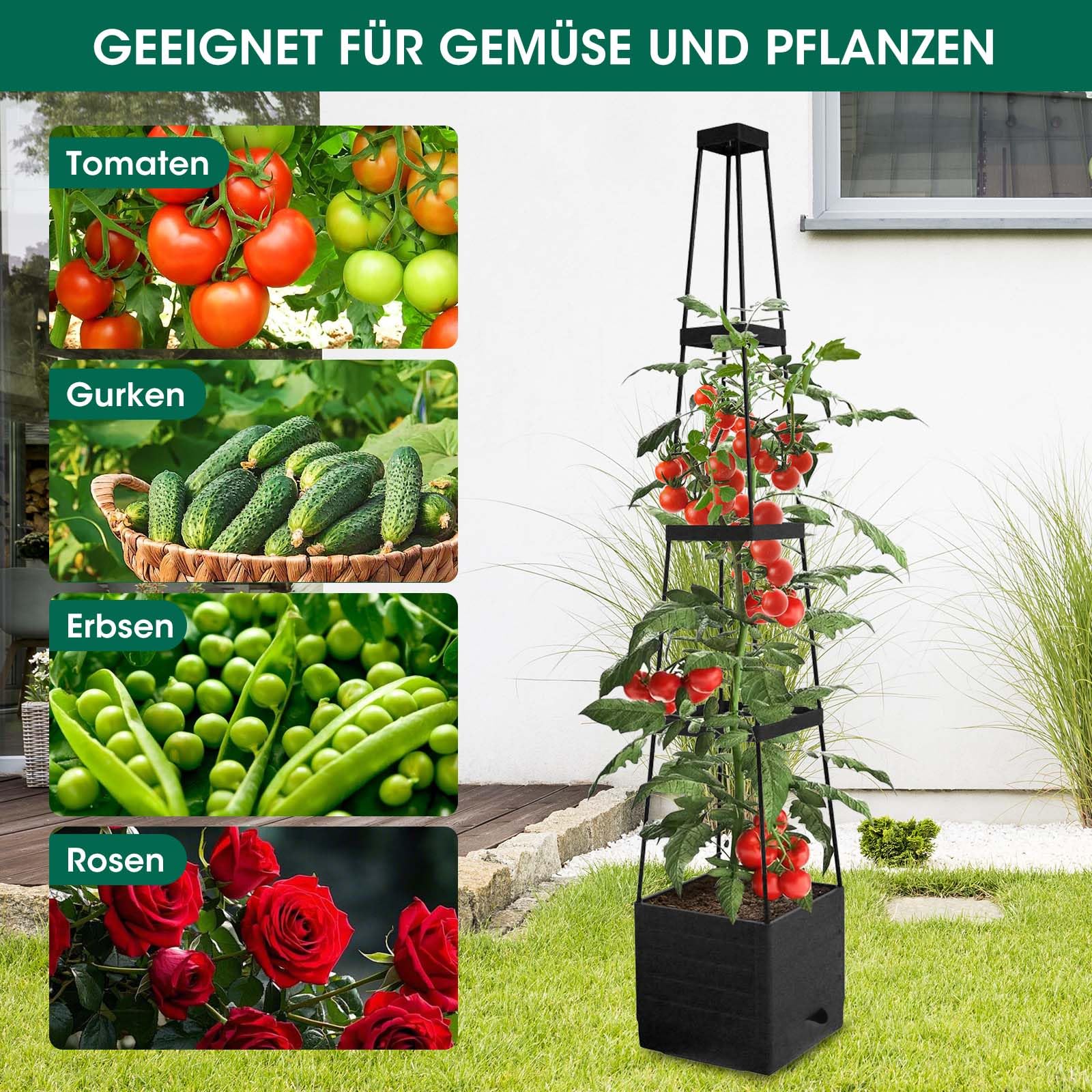 mymulike-home-life-tomatentopf-rankhilfe-145-cm-2-st-ck-topf image 4