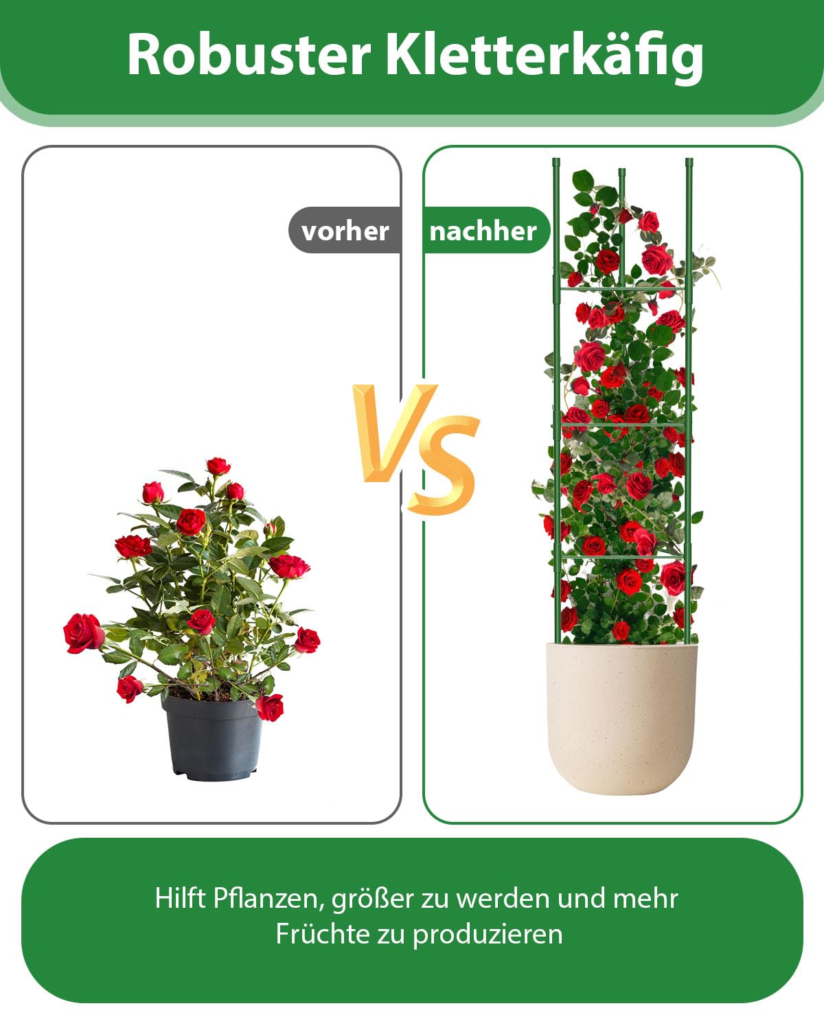 mymulike-home-life-tomaten-rankhilfe-130-cm-3-st-ck-gr-n image 7